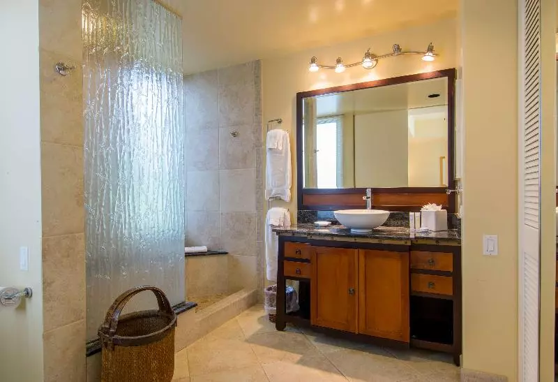 オーシャンビューの１ベッドルームビラ, Palms At Wailea Maui