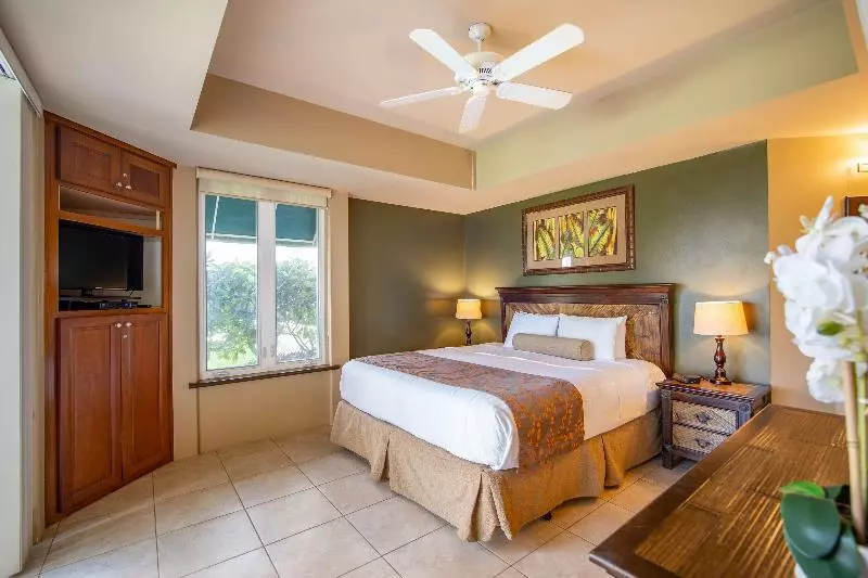 ツーベッドルーム　ヴィラ, Palms At Wailea Maui