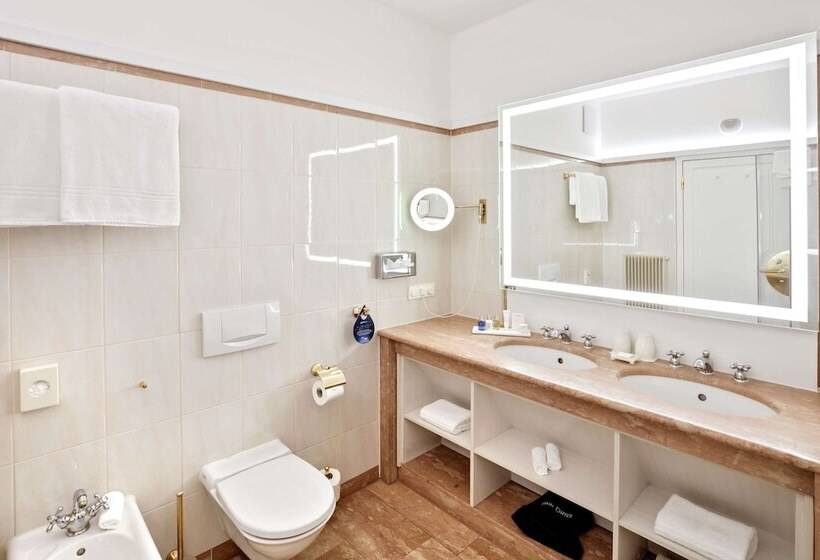 اتاق سوپریور, Radisson Blu Hotel Altstadt