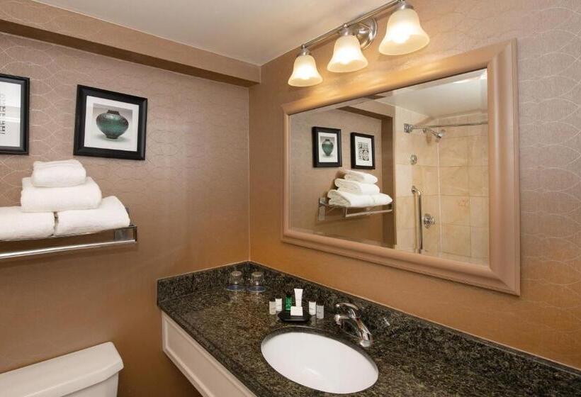 带大床的标准间, Sheraton Hartford South