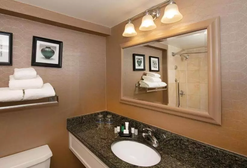 キングサイズベッドのスタンダードルーム, Sheraton Hartford South