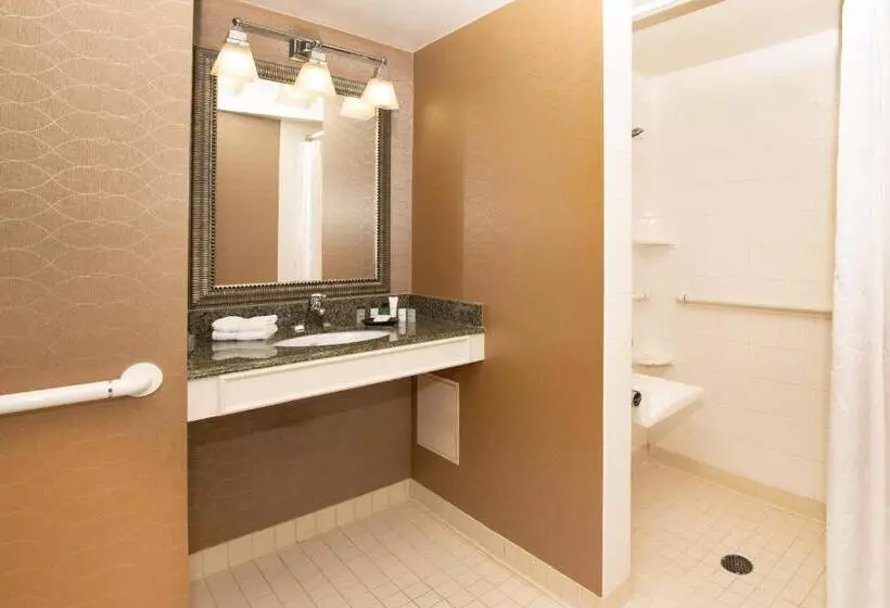 キングサイズベッドのスタンダードルーム, Sheraton Hartford South