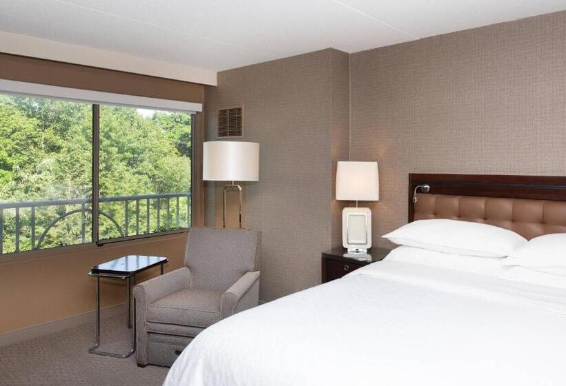 带大床的标准间, Sheraton Hartford South
