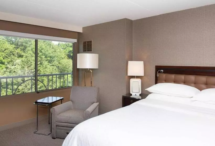キングサイズベッドのスタンダードルーム, Sheraton Hartford South