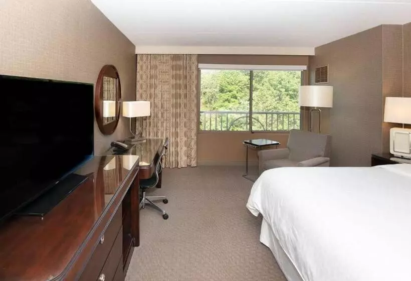 キングサイズベッドのスタンダードルーム, Sheraton Hartford South