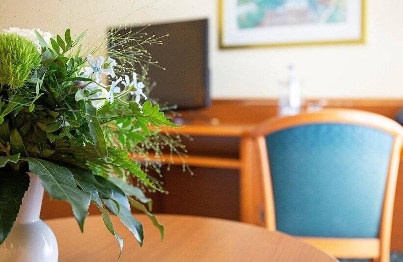 스탠다드 룸, Victor S Residenz Hotel Gera