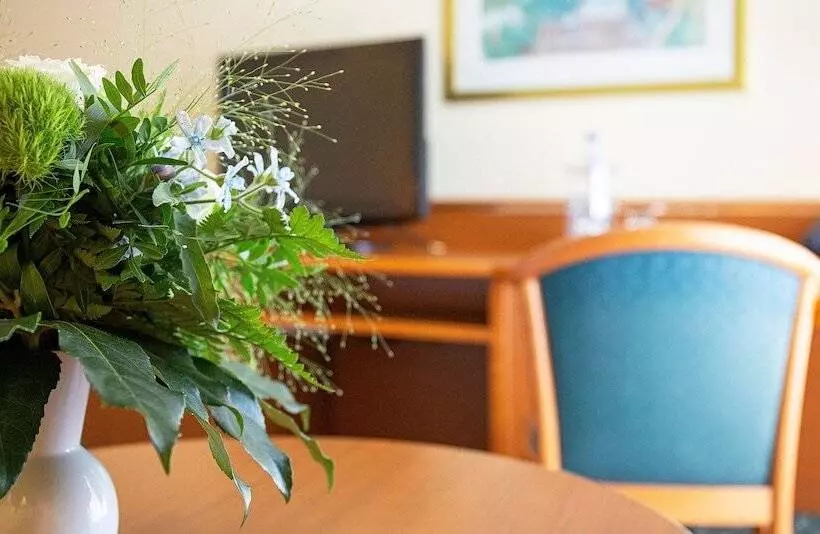 スタンダードルーム, Victor S Residenz Hotel Gera