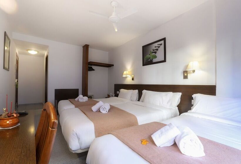 스탠다드 룸, Insitu Eurotel Andorra