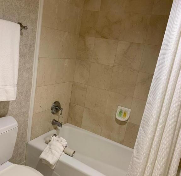 标准间, The Lago Mar Beach Resort And Club