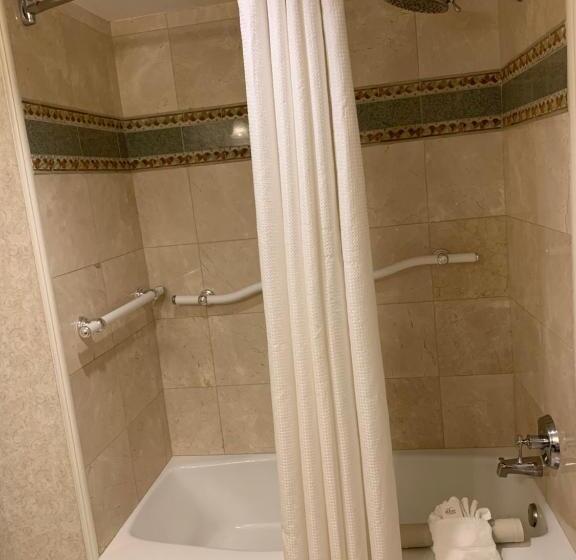 带大床的标准间, The Lago Mar Beach Resort And Club