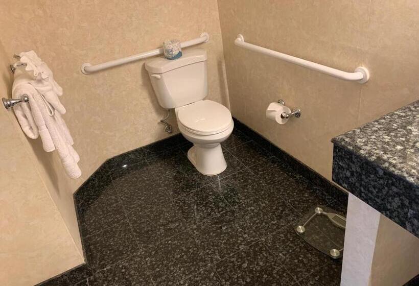 身障者適用キングサイズベッドルーム, The Lago Mar Beach Resort And Club