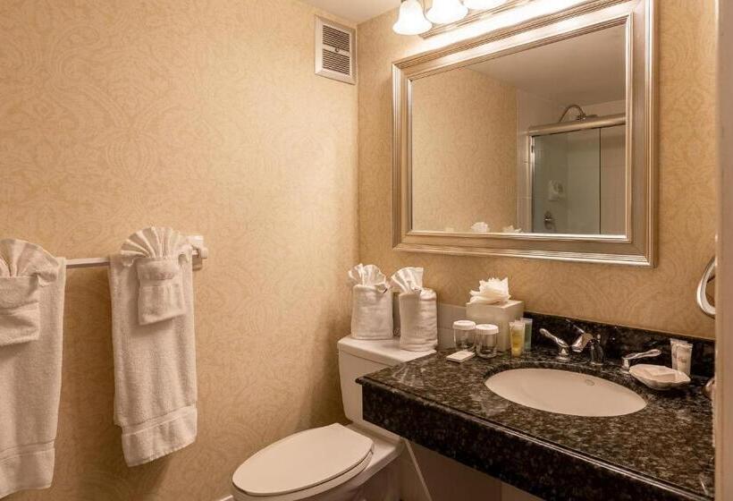 带大床的套房, The Lago Mar Beach Resort And Club