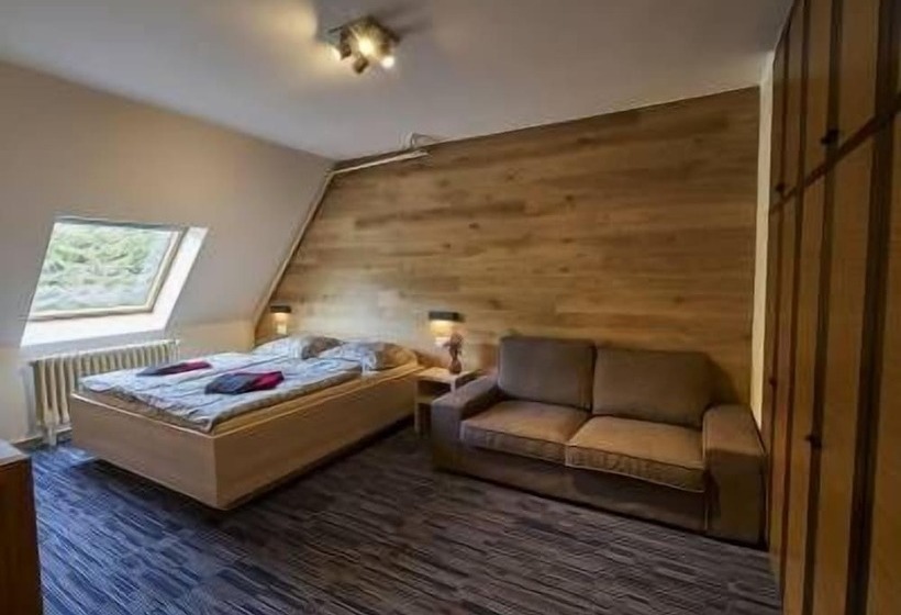 디럭스 룸, žalý Apartmány