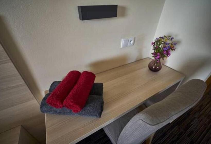 디럭스 룸, žalý Apartmány