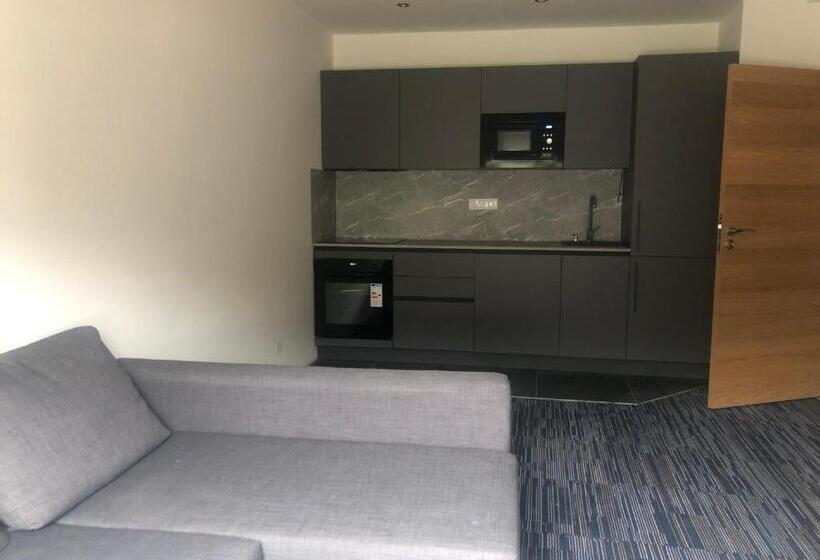 침실 1개 디럭스 아파트, žalý Apartmány