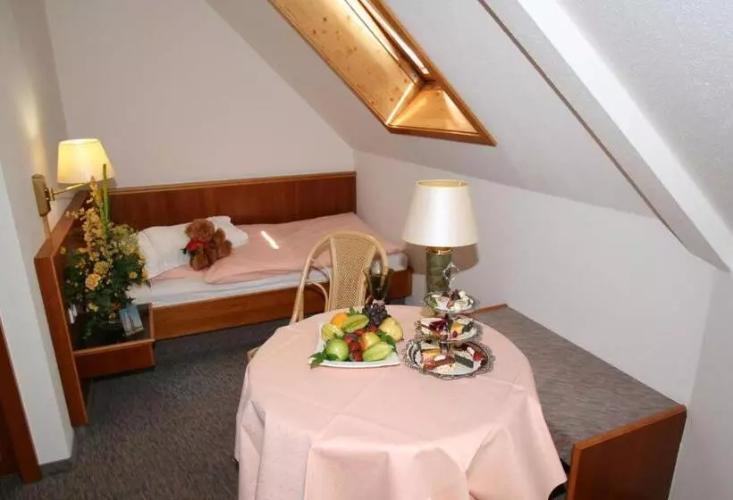 Standard Yhden Hengen Huone, Dorotheenhof