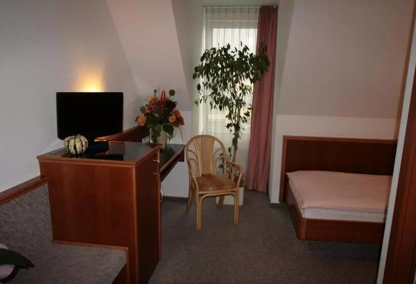Standard Yhden Hengen Huone, Dorotheenhof