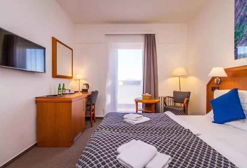 اتاق سوپریور, Lh Hotel Mědínek Old Town