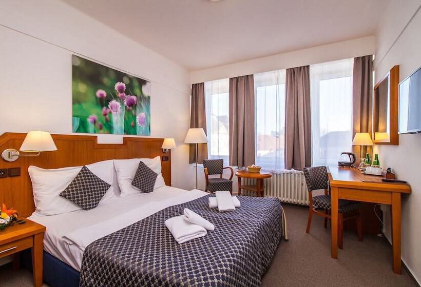 Номер Superior, Lh Hotel Mědínek Old Town