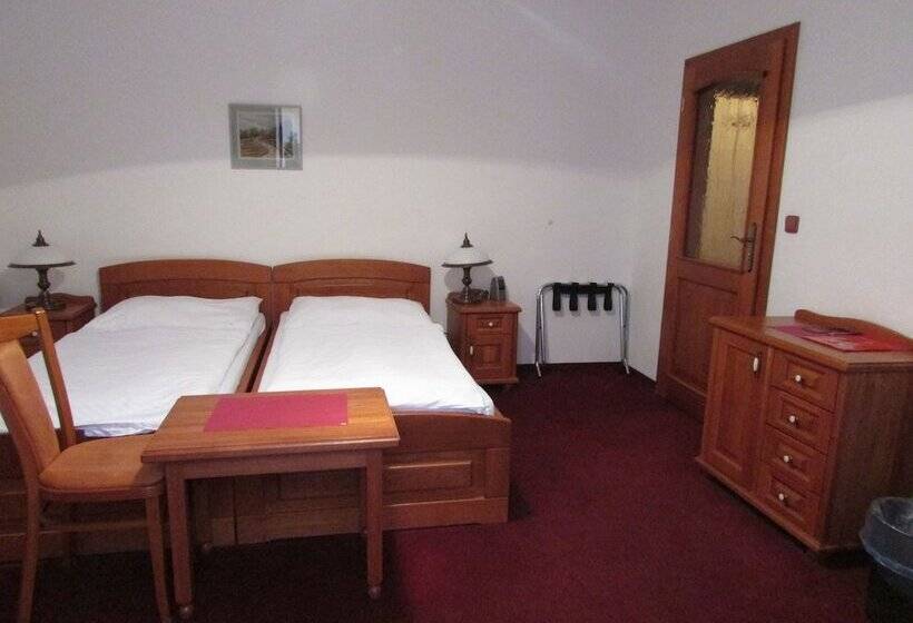 Номер Стандарт, Pegas Brno
