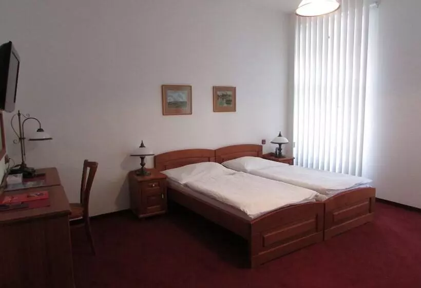 Camera Standard, Pegas Brno