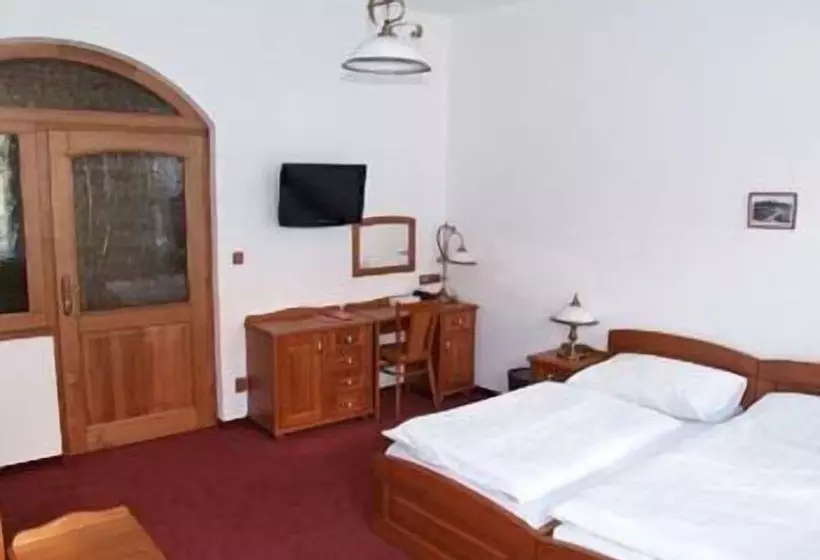 Camera Standard, Pegas Brno