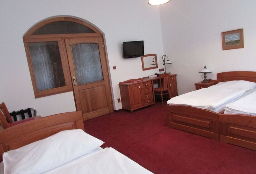 Номер Стандарт Трехместный, Pegas Brno