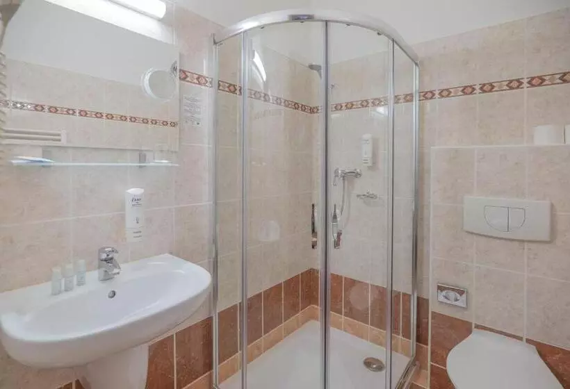 Standard Yhden Hengen Huone, Zlatá Hvězda