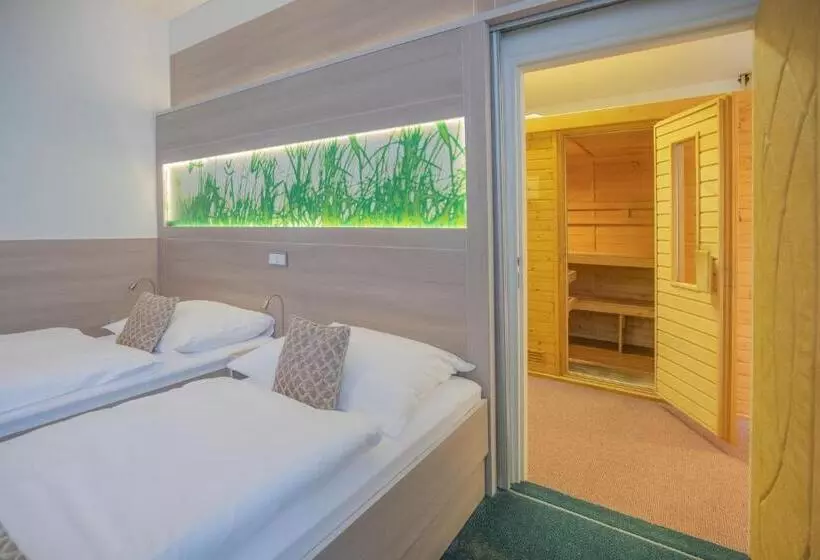 Standard-huone Pääsy Spa-tilaan, Zlatá Hvězda
