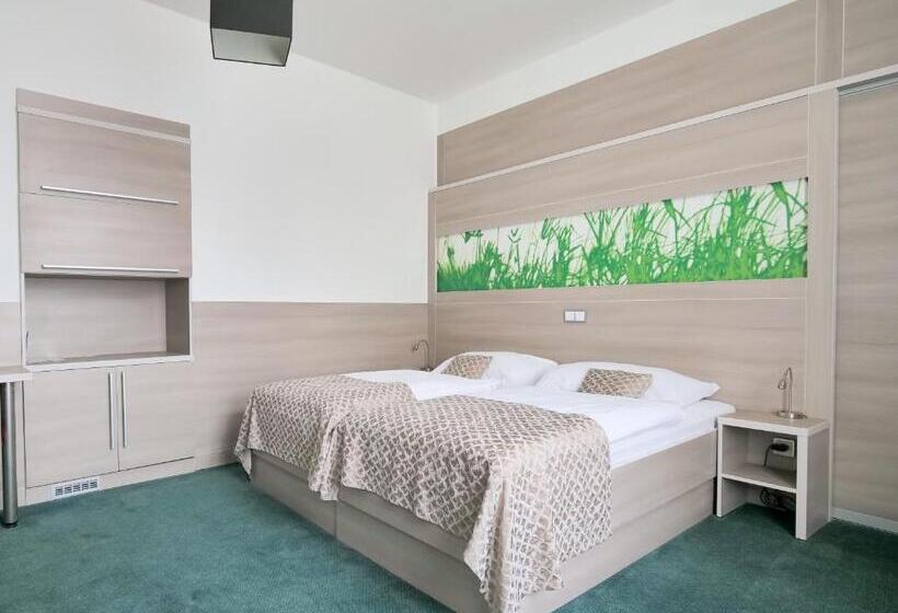 スパアクセス付スタンダードルーム, Zlatá Hvězda