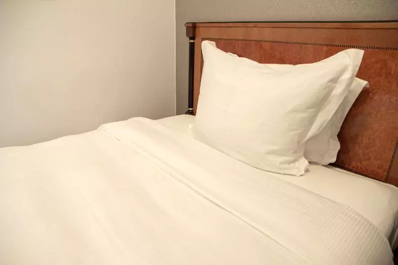 اتاق استاندارد یک نفره, Radisson Collection Astorija Hotel, Vilnius