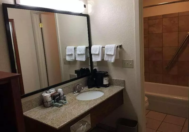 اتاق سوپریور با چشم‌انداز, Radisson Collection Astorija Hotel, Vilnius