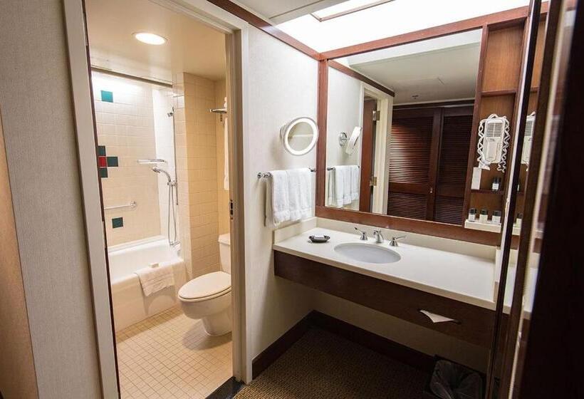 Номер Стандарт, Alyeska Resort