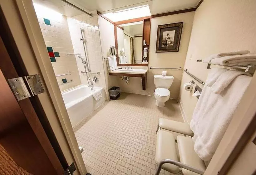 身障者適用スタンダードルーム, Alyeska Resort