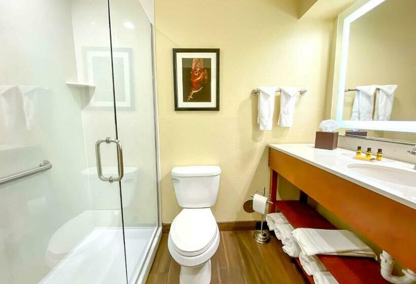 Стандартный Номер Кровать Кинг, Best Western Plus Inn Of Williams