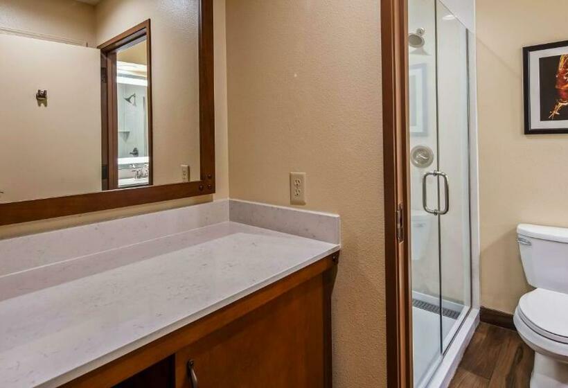 Стандартный Номер Кровать Кинг, Best Western Plus Inn Of Williams