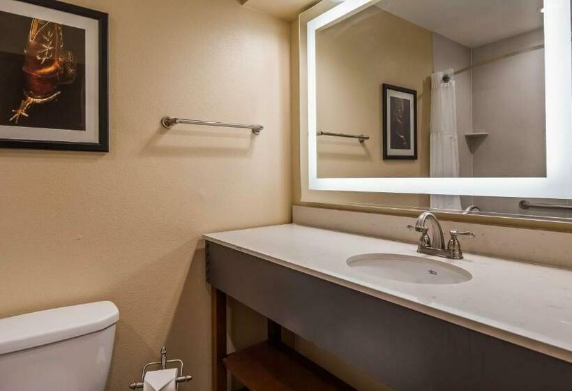 Стандартный Номер Кровать Кинг, Best Western Plus Inn Of Williams