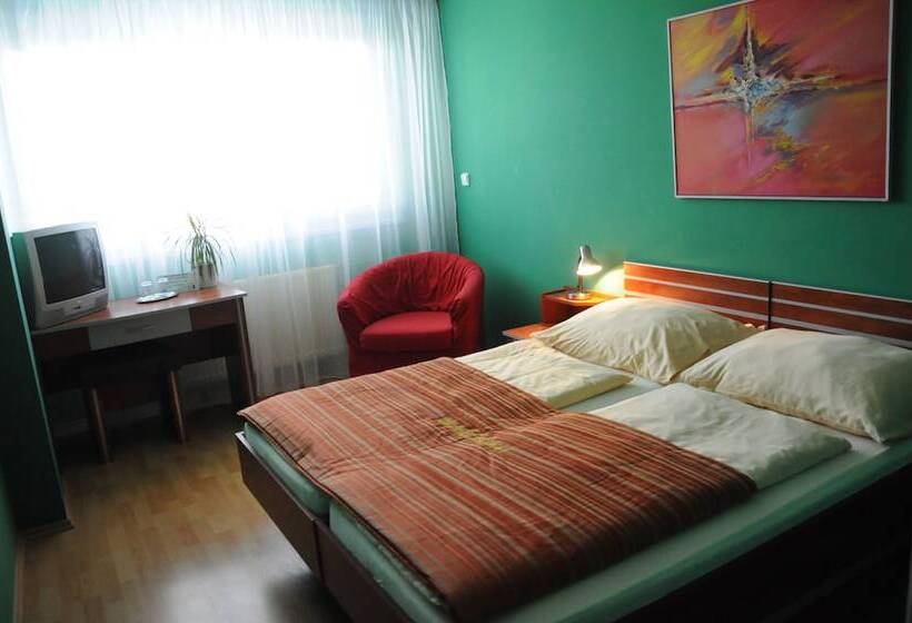 스탠다드 룸, Panon