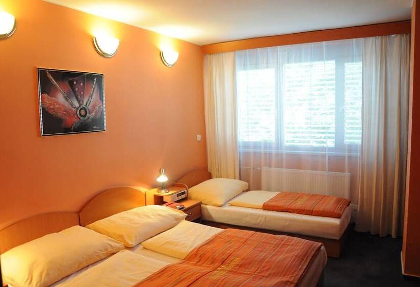 스탠다드 트리플 룸, Panon