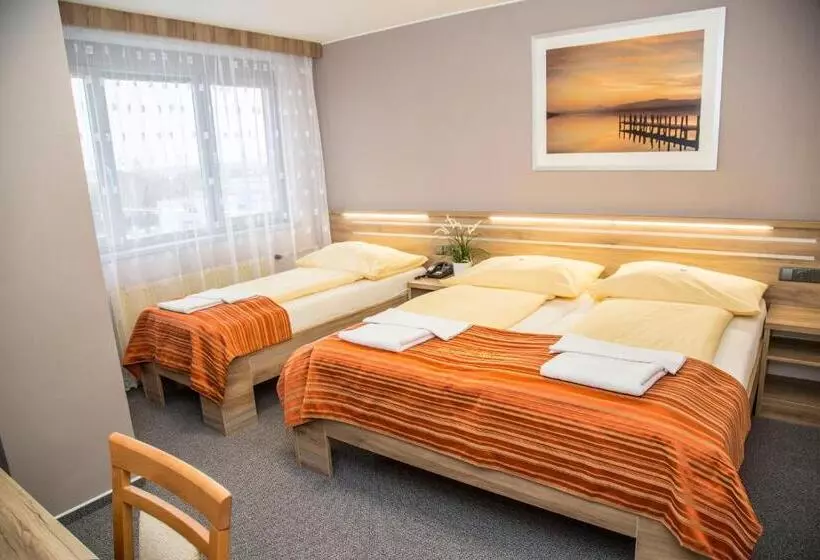Standard Kolmen Hengen Huone, Panon