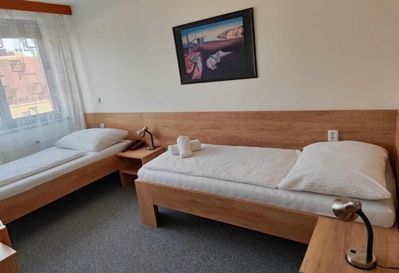 클래식 싱글 룸, Panon