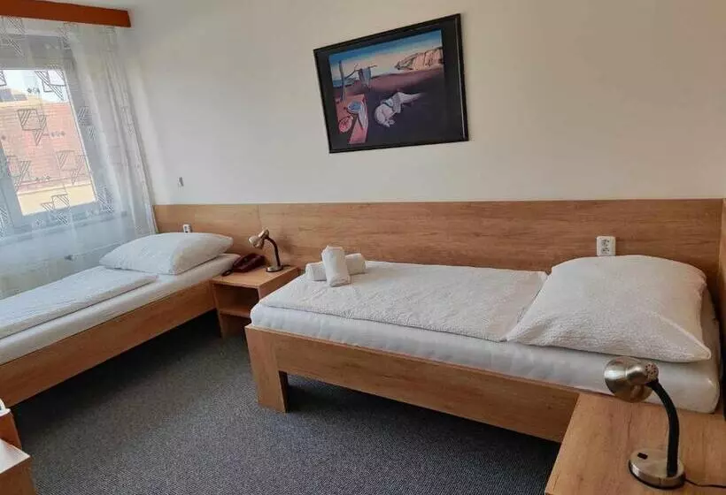 Classic Yhden Hengen Huone, Panon