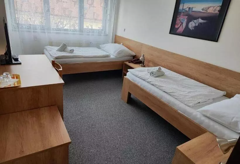 Classic Yhden Hengen Huone, Panon