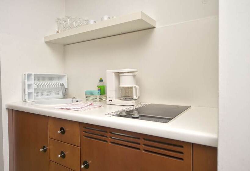 标准工作室, Radisson Blu Park Hotel & Conference Centre