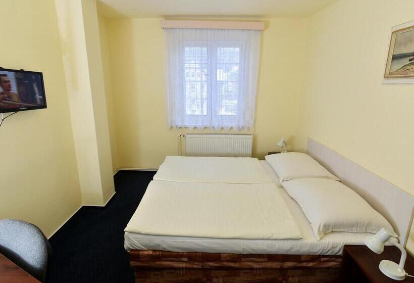 غرفة قياسية فردية, U Jezírka