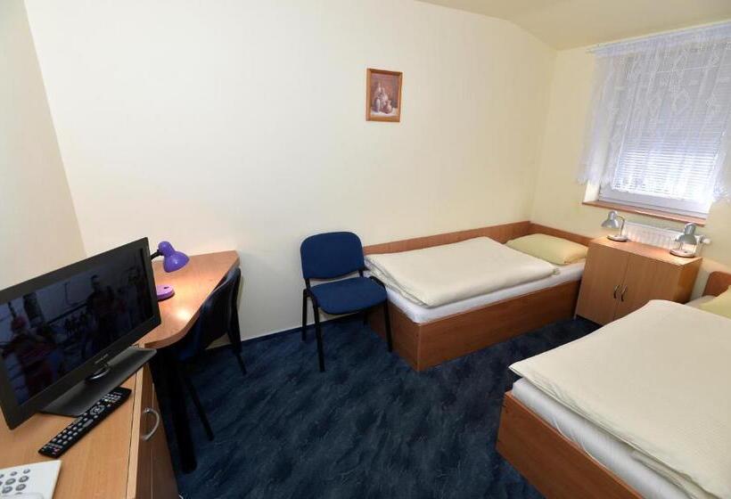 غرفة قياسية فردية, U Jezírka