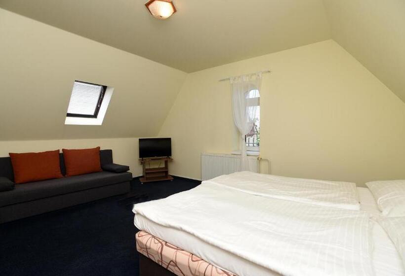 غرفة قياسية ثلاثية, U Jezírka