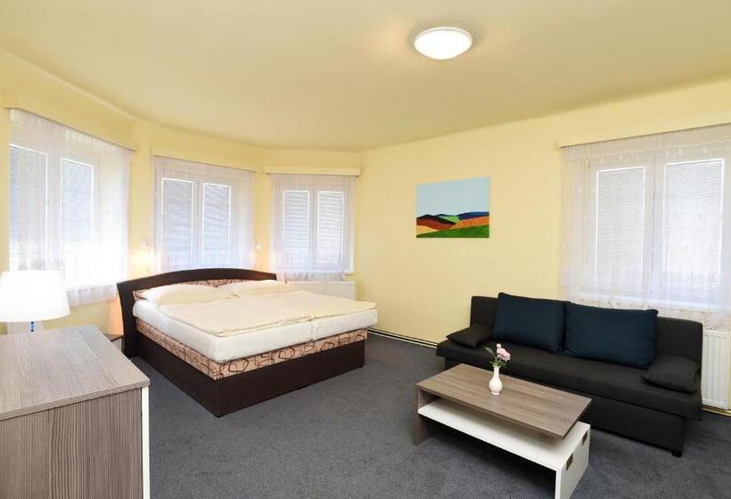 اتاق استاندارد سه نفره, U Jezírka