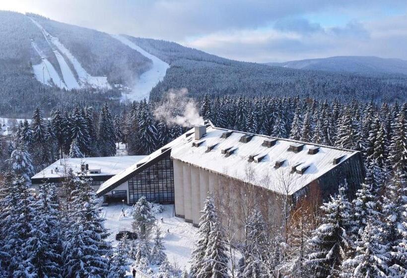 غرفة قياسية, Wellness Hotel Svornost