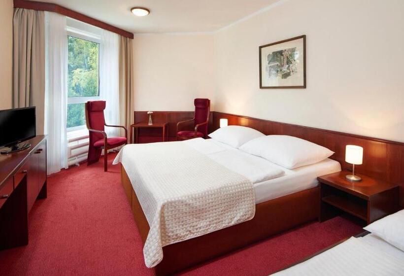 Номер Стандарт Индивидуальный, Wellness Hotel Svornost